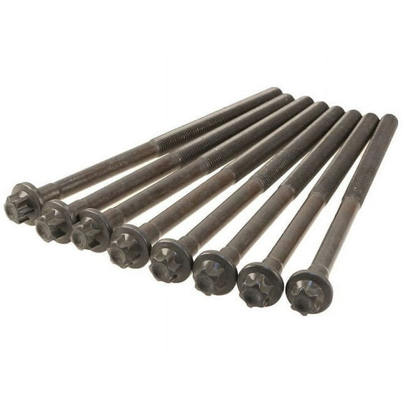 Head Bolt Set - Compatible with 1998 - 2000 BMW 528i 1999