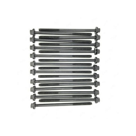 Head Bolt Set - Compatible with 2002 Lincoln Blackwood 5.4L V8 VIN a InTech 32-Valve DOHC