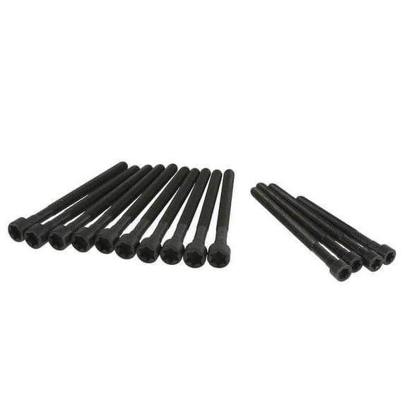Head Bolt Set - Compatible with 2006 BMW 325xi