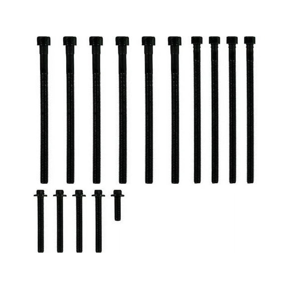Head Bolt Set - Compatible with 2012 - 2016 BMW 528i xDrive N20B20A 2013 2014 2015