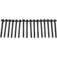 thumbnail image 1 of Head Bolt Set - Compatible with 2015 - 2017 Ford Expedition 3.5L V6 2016, 1 of 2