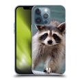 thumbnail image 1 of Head Case Designs Famous Animals Baby Raccoon Soft Gel Case Compatible with Apple iPhone 13 Pro, 1 of 7