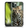 thumbnail image 1 of Head Case Designs Famous Animals Closeup Of An Ocelot Hard Back Case Compatible with Apple iPhone 11 Pro, 1 of 7