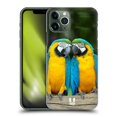 thumbnail image 1 of Head Case Designs Famous Animals Colourful Macaw Parrot Couple Hard Back Case Compatible with Apple iPhone 11 Pro, 1 of 7
