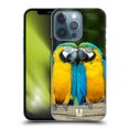 thumbnail image 1 of Head Case Designs Famous Animals Colourful Macaw Parrot Couple Hard Back Case Compatible with Apple iPhone 13 Pro, 1 of 7