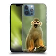 thumbnail image 1 of Head Case Designs Famous Animals Common Squirrel Monkey Hard Back Case Compatible with Apple iPhone 13 Pro Max, 1 of 7
