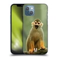 thumbnail image 1 of Head Case Designs Famous Animals Common Squirrel Monkey Hard Back Case Compatible with Apple iPhone 13, 1 of 7