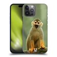 thumbnail image 1 of Head Case Designs Famous Animals Common Squirrel Monkey Hard Back Case Compatible with Apple iPhone 14 Pro Max, 1 of 7