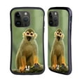 thumbnail image 1 of Head Case Designs Famous Animals Common Squirrel Monkey Hybrid Case Compatible with Apple iPhone 15 Pro, 1 of 7