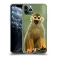 thumbnail image 1 of Head Case Designs Famous Animals Common Squirrel Monkey Soft Gel Case Compatible with Apple iPhone 11 Pro Max, 1 of 7