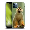 thumbnail image 1 of Head Case Designs Famous Animals Common Squirrel Monkey Soft Gel Case Compatible with Apple iPhone 12 / iPhone 12 Pro, 1 of 7