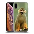 thumbnail image 1 of Head Case Designs Famous Animals Common Squirrel Monkey Soft Gel Case Compatible with Apple iPhone XS Max, 1 of 7