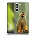 thumbnail image 1 of Head Case Designs Famous Animals Common Squirrel Monkey Soft Gel Case Compatible with Samsung Galaxy S21 5G, 1 of 7