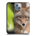 thumbnail image 1 of Head Case Designs Famous Animals Coyote In Snow Hard Back Case Compatible with Apple iPhone 14, 1 of 7