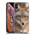 thumbnail image 1 of Head Case Designs Famous Animals Coyote In Snow Soft Gel Case Compatible with Apple iPhone XS Max, 1 of 7