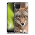 thumbnail image 1 of Head Case Designs Famous Animals Coyote In Snow Soft Gel Case Compatible with Samsung Galaxy A12 (2020), 1 of 7
