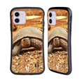 thumbnail image 1 of Head Case Designs Famous Animals Crawling Tortoise Hybrid Case Compatible with Apple iPhone 11, 1 of 7