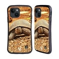 thumbnail image 1 of Head Case Designs Famous Animals Crawling Tortoise Hybrid Case Compatible with Apple iPhone 15, 1 of 7