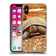 thumbnail image 1 of Head Case Designs Famous Animals Crawling Tortoise Soft Gel Case Compatible with Apple iPhone X / iPhone XS, 1 of 7