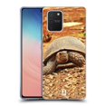 thumbnail image 1 of Head Case Designs Famous Animals Crawling Tortoise Soft Gel Case Compatible with Samsung Galaxy S10 Lite, 1 of 7
