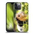 thumbnail image 1 of Head Case Designs Famous Animals Guinea Pig Pet Hard Back Case Compatible with Apple iPhone 14 Pro Max, 1 of 7