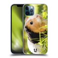 thumbnail image 1 of Head Case Designs Famous Animals Guinea Pig Pet Soft Gel Case Compatible with Apple iPhone 12 / iPhone 12 Pro, 1 of 7