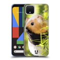 thumbnail image 1 of Head Case Designs Famous Animals Guinea Pig Pet Soft Gel Case Compatible with Google Pixel 4, 1 of 7