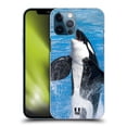 thumbnail image 1 of Head Case Designs Famous Animals Jumping Killer Whale Hard Back Case Compatible with Apple iPhone 12 Pro Max, 1 of 7