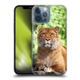 thumbnail image 1 of Head Case Designs Famous Animals Siberian Liger Hard Back Case Compatible with Apple iPhone 13 Pro Max, 1 of 7