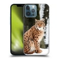 thumbnail image 1 of Head Case Designs Famous Animals Wild Lynx In Winter Hard Back Case Compatible with Apple iPhone 13 Pro Max, 1 of 7