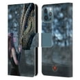 thumbnail image 1 of Head Case Designs Officially Licensed Anne Stokes Dragon Friendship Once Upon A Time Leather Book Wallet Case Cover Compatible with Apple iPhone 12 / iPhone 12 Pro, 1 of 6