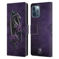 thumbnail image 1 of Head Case Designs Officially Licensed Anne Stokes Dragons 3 Beauty 1 Leather Book Wallet Case Cover Compatible with Apple iPhone 12 Pro Max, 1 of 6