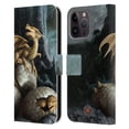 thumbnail image 1 of Head Case Designs Officially Licensed Anne Stokes Dragons Golden Treasures Leather Book Wallet Case Cover Compatible with Apple iPhone 15 Pro Max, 1 of 6