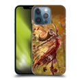 thumbnail image 1 of Head Case Designs Officially Licensed Anne Stokes Fairies Autumn Hard Back Case Compatible with Apple iPhone 13 Pro, 1 of 7