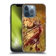 thumbnail image 1 of Head Case Designs Officially Licensed Anne Stokes Fairies Autumn Soft Gel Case Compatible with Apple iPhone 13 Pro, 1 of 7