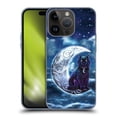 thumbnail image 1 of Head Case Designs Officially Licensed Brigid Ashwood Celtic Wisdom 2 Black Cat Soft Gel Case Compatible with Apple iPhone 15 Pro, 1 of 7