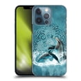 thumbnail image 1 of Head Case Designs Officially Licensed Brigid Ashwood Celtic Wisdom Dolphin Hard Back Case Compatible with Apple iPhone 13 Pro, 1 of 7