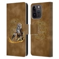 thumbnail image 1 of Head Case Designs Officially Licensed Brigid Ashwood Celtic Wisdom Owl Leather Book Wallet Case Cover Compatible with Apple iPhone 15 Pro, 1 of 6