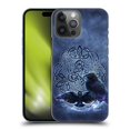 thumbnail image 1 of Head Case Designs Officially Licensed Brigid Ashwood Celtic Wisdom Raven Hard Back Case Compatible with Apple iPhone 14 Pro Max, 1 of 7