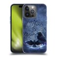 thumbnail image 1 of Head Case Designs Officially Licensed Brigid Ashwood Celtic Wisdom Raven Soft Gel Case Compatible with Apple iPhone 14 Pro, 1 of 7