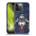 thumbnail image 1 of Head Case Designs Officially Licensed Brigid Ashwood Celtic Wisdom Wolf Guide Soft Gel Case Compatible with Apple iPhone 14 Pro, 1 of 7