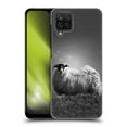 thumbnail image 1 of Head Case Designs Officially Licensed Dorit Fuhg Travel Stories Le Fluff Hard Back Case Compatible with Samsung Galaxy A12 (2020), 1 of 7