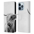 thumbnail image 1 of Head Case Designs Officially Licensed Dorit Fuhg Travel Stories Portrait of a Highland Cow Leather Book Wallet Case Cover Compatible with Apple iPhone 13 Pro, 1 of 6