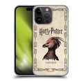 thumbnail image 1 of Head Case Designs Officially Licensed Harry Potter Chamber Of Secrets II Fawkes Phoenix Creature Hard Back Case Compatible with Apple iPhone 15 Pro Max, 1 of 7