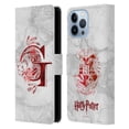thumbnail image 1 of Head Case Designs Officially Licensed Harry Potter Deathly Hallows IX Gryffindor Aguamenti Leather Book Wallet Case Cover Compatible with Apple iPhone 13 Pro Max, 1 of 6