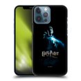 thumbnail image 1 of Head Case Designs Officially Licensed Harry Potter Order Of The Phoenix I Voldemort Hard Back Case Compatible with Apple iPhone 13 Pro Max, 1 of 7