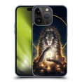 thumbnail image 1 of Head Case Designs Officially Licensed Jonas "JoJoesArt" Jödicke Wildlife 2 Soul Keeper Soft Gel Case Compatible with Apple iPhone 15 Pro, 1 of 7