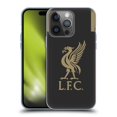 thumbnail image 1 of Head Case Designs Officially Licensed Liverpool Football Club 2019/20 Kit Home Goalkeeper Soft Gel Case Compatible with Apple iPhone 14 Pro, 1 of 7