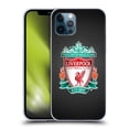 thumbnail image 1 of Head Case Designs Officially Licensed Liverpool Football Club Crest 2 Black Pixel 1 Soft Gel Case Compatible with Apple iPhone 12 / iPhone 12 Pro, 1 of 7