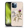 thumbnail image 1 of Head Case Designs Officially Licensed Outlander Graphics Flowers Soft Gel Case Compatible with Apple iPhone 12 Pro Max, 1 of 7